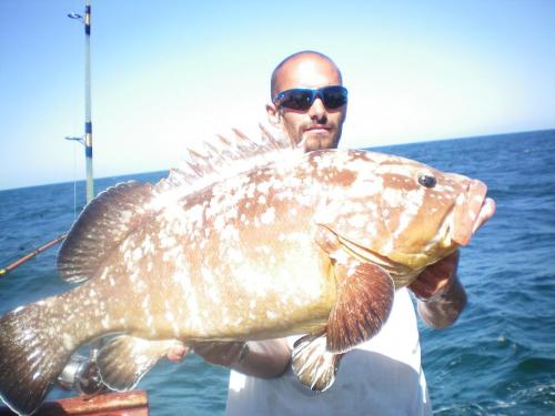 GIGANTES DEL MAR